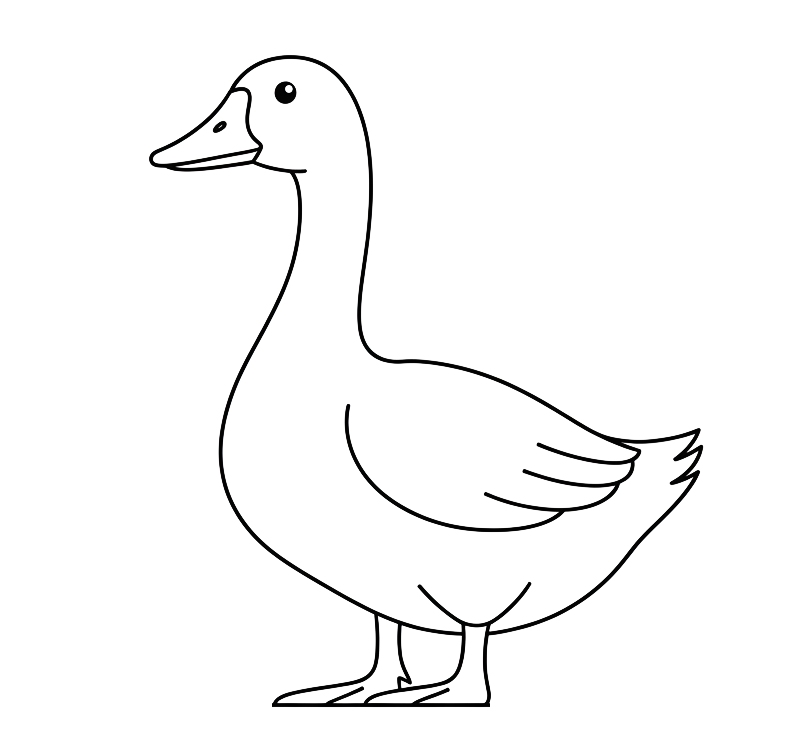 Gęś - kolorowanka do druku