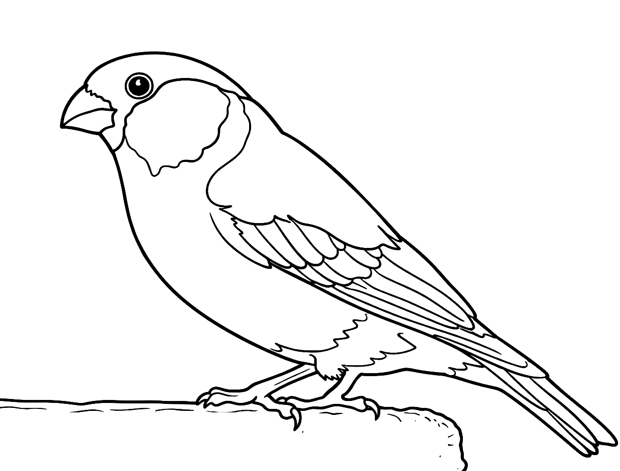 Gil - kolorowanka do druku