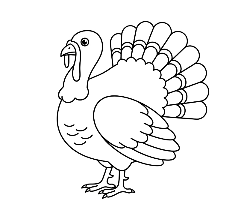Indyk - kolorowanka do druku