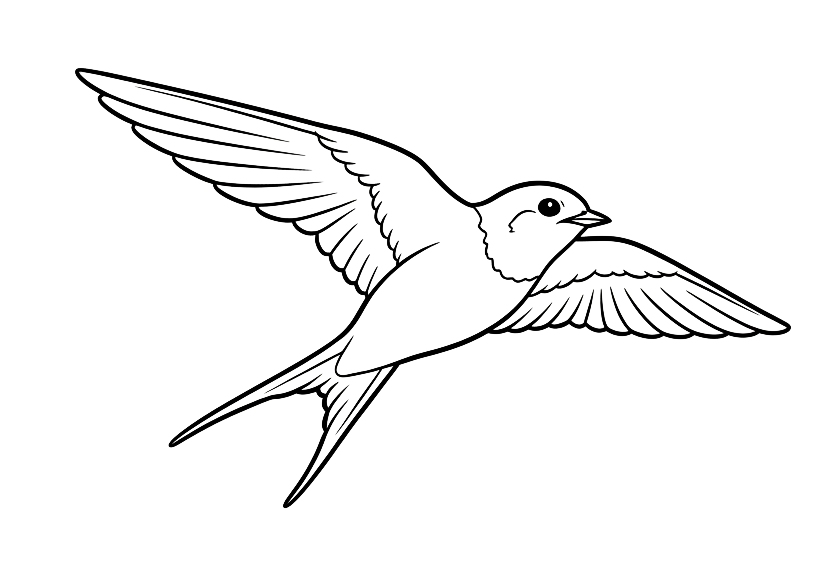 Jaskółka - kolorowanka do druku