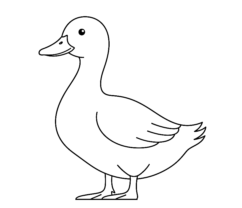 Kaczka - kolorowanka do druku