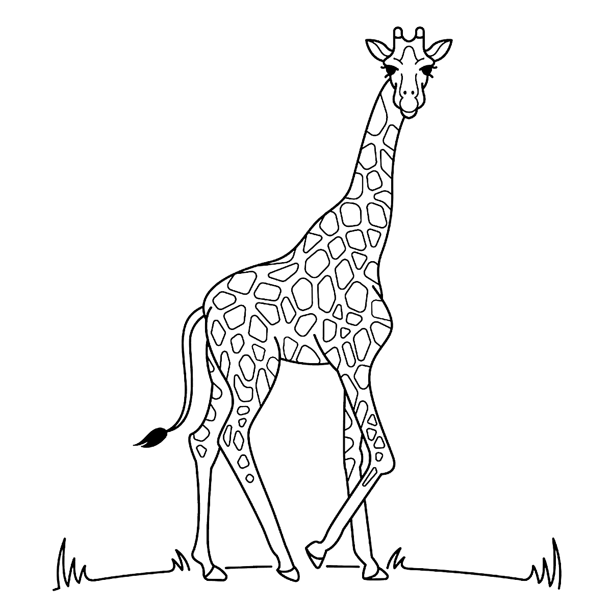 Żyrafa - kolorowanka do druku