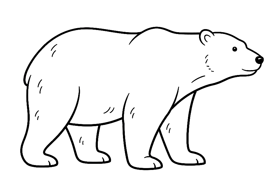 Niedźwiedź polarny kolorowanka do druku