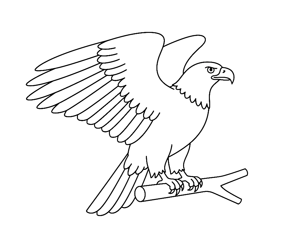 Orzeł - kolorowanka do druku