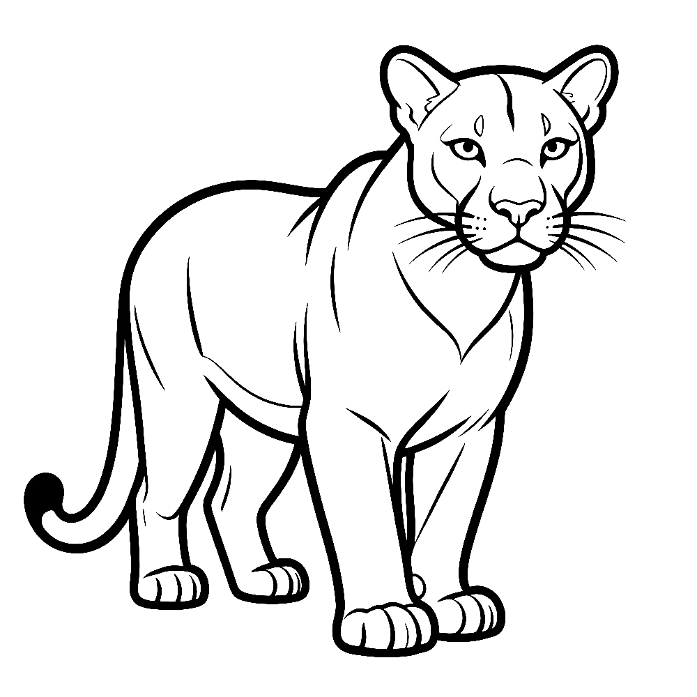 Puma - kolorowanka do druku