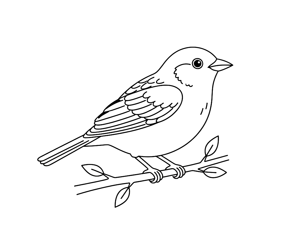 Wróbel - kolorowanka do druku
